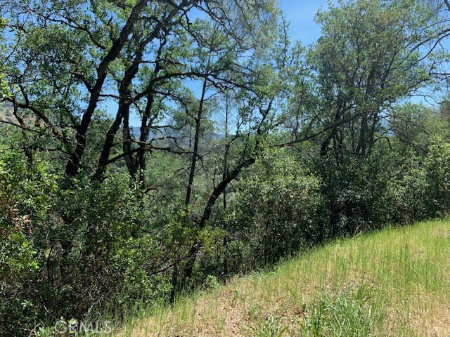 7268 Shasta Property Photo 3