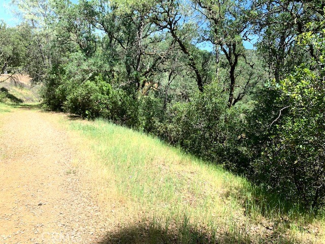 7268 Shasta Property Photo 4
