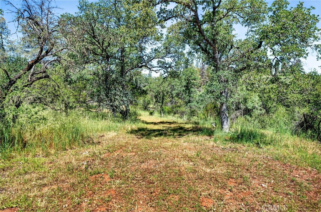 13505 Spruce Grove Property Photo 16