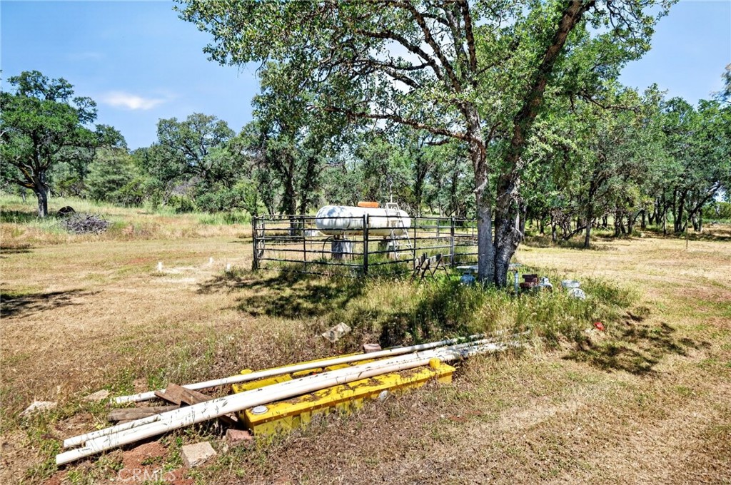 13505 Spruce Grove Property Photo 19