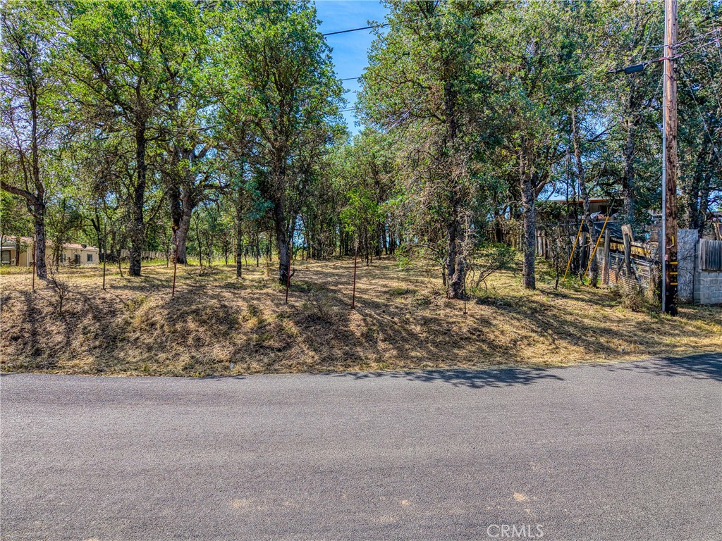 16793 Big Bear Property Photo 1