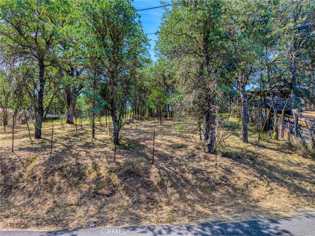 16793 Big Bear Property Photo 2