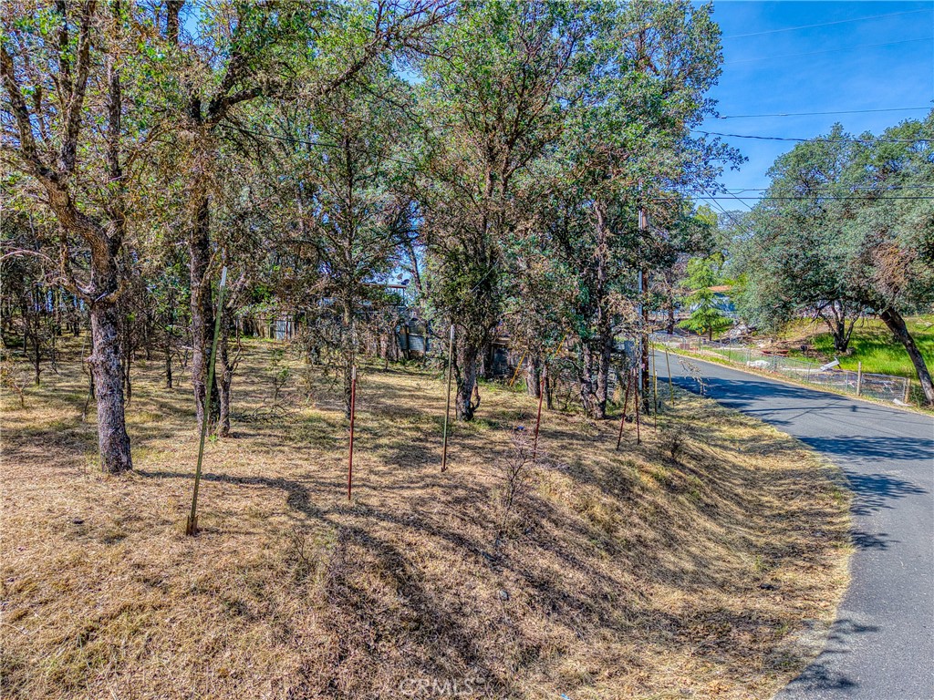 16793 Big Bear Property Photo 3