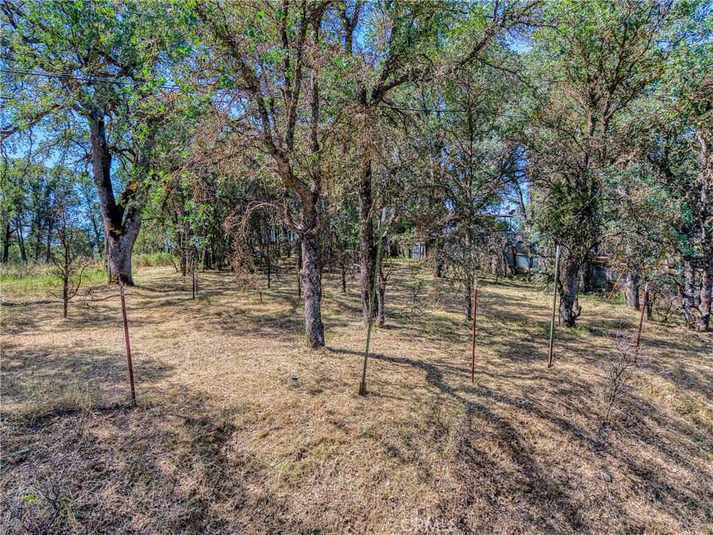16793 Big Bear Property Photo 4