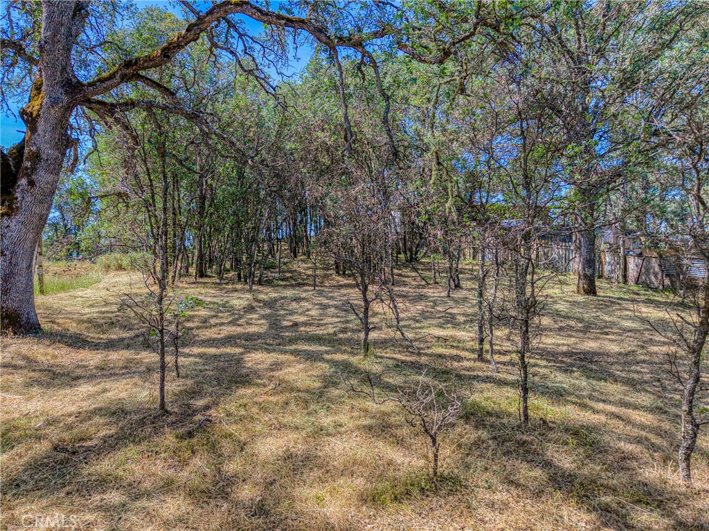 16793 Big Bear Property Photo 5