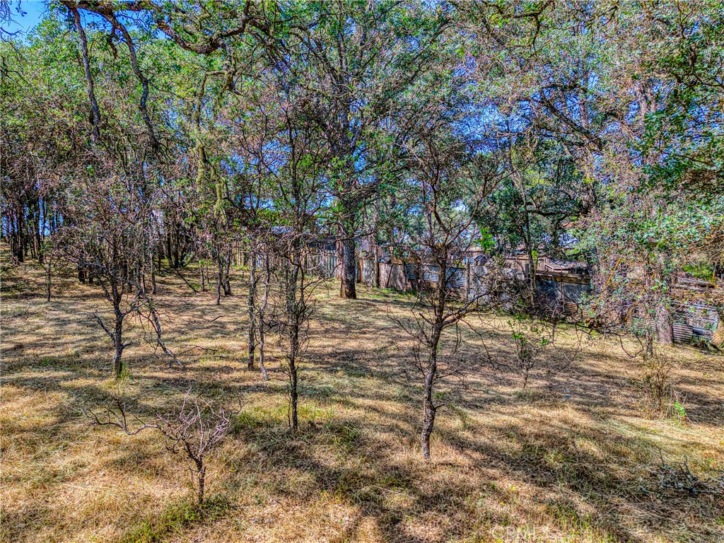 16793 Big Bear Property Photo 6