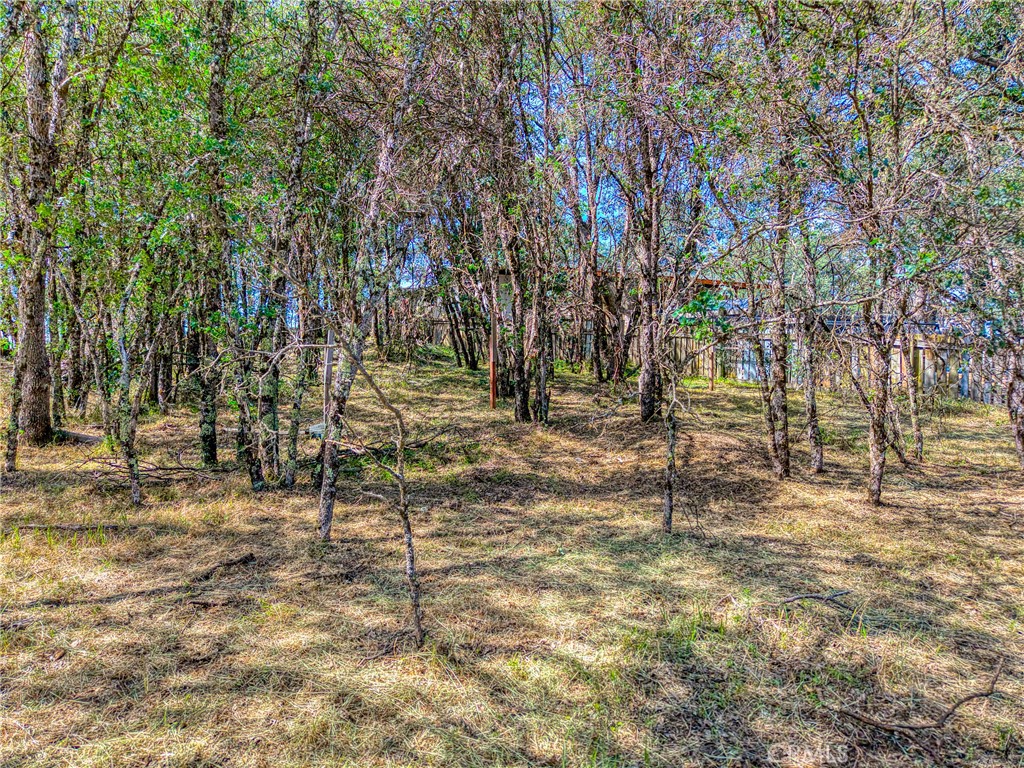 16793 Big Bear Property Photo 7