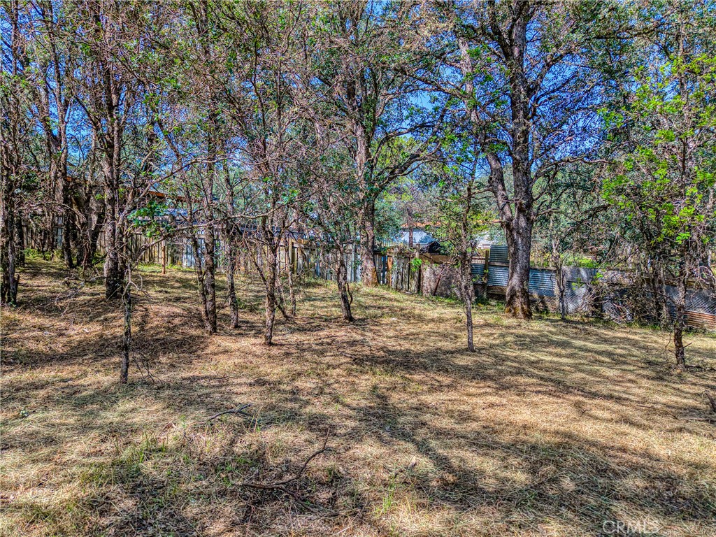 16793 Big Bear Property Photo 8