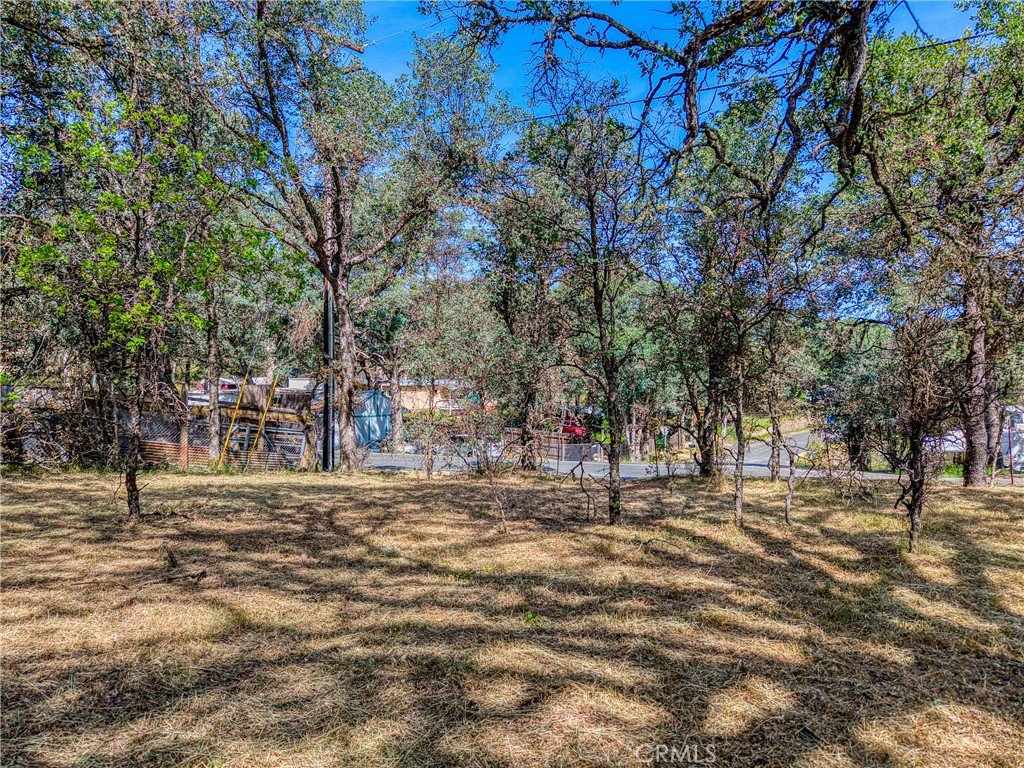 16793 Big Bear Property Photo 9