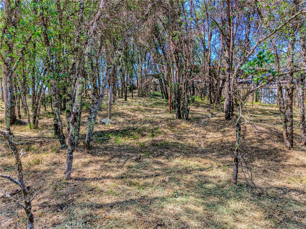 16793 Big Bear Property Photo 11