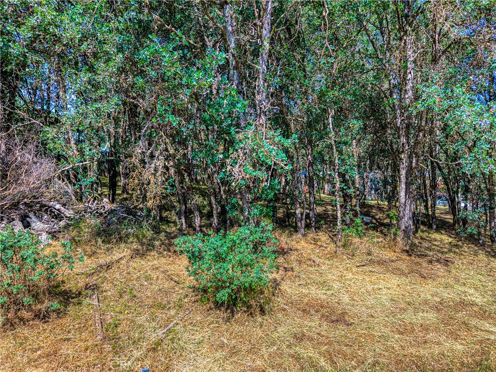 16793 Big Bear Property Photo 12
