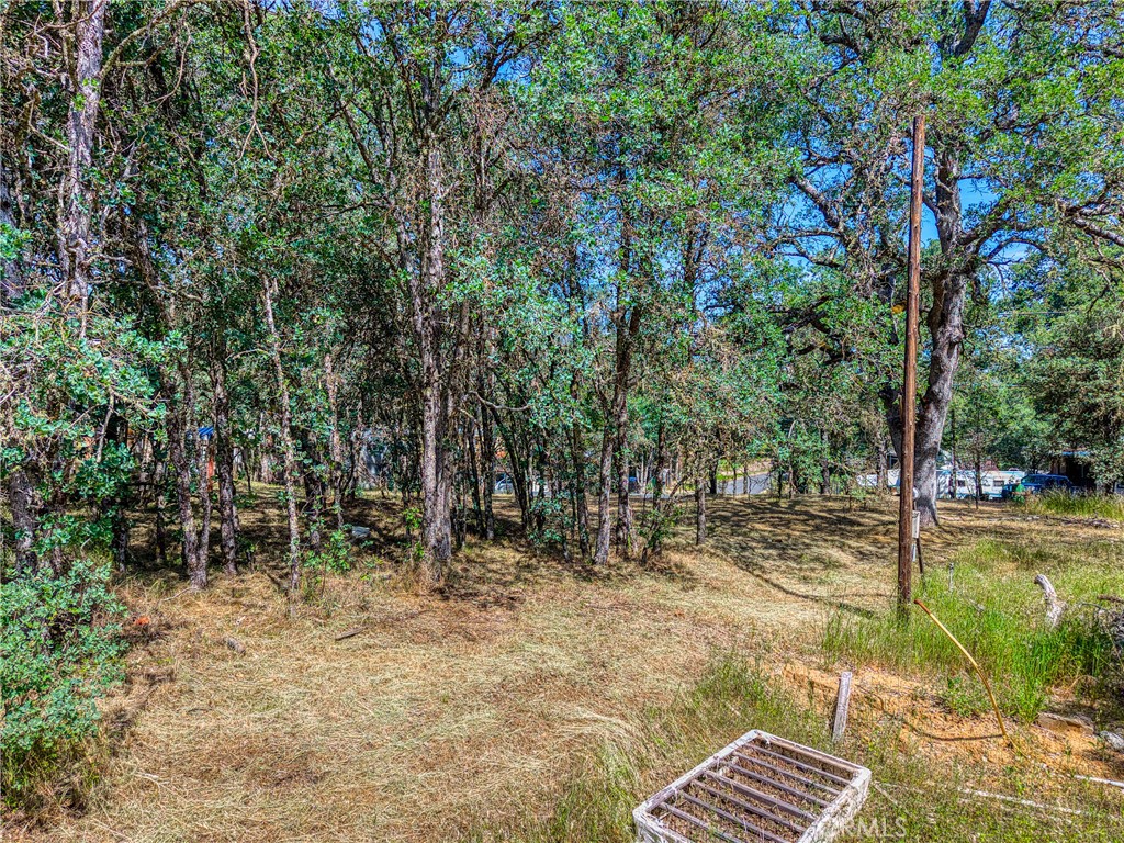16793 Big Bear Property Photo 13
