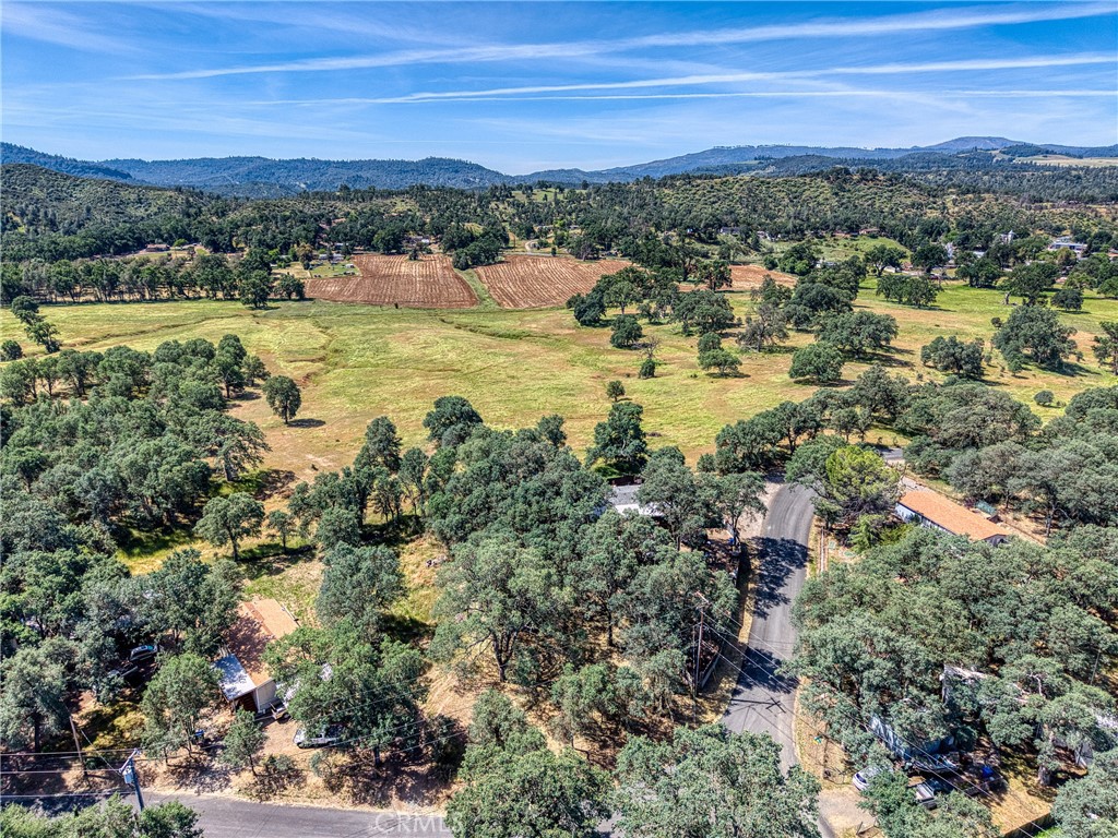 16793 Big Bear Property Photo 15