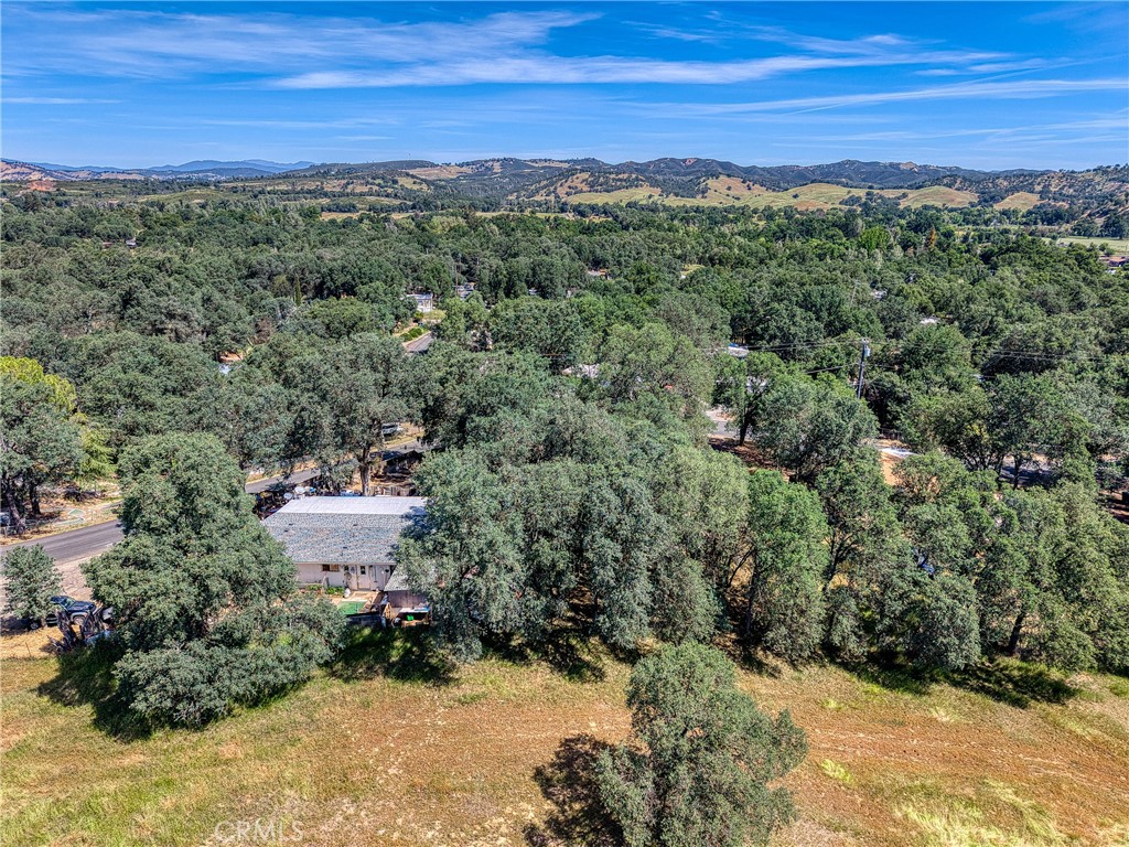 16793 Big Bear Property Photo 18