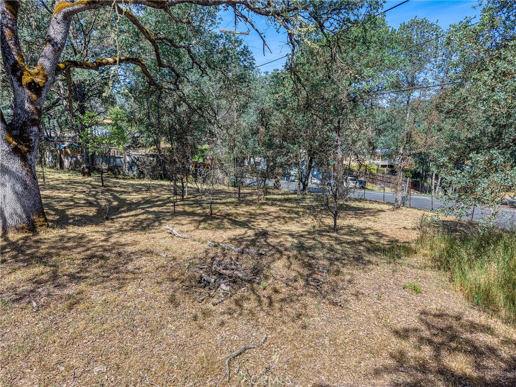 16793 Big Bear Property Photo 19