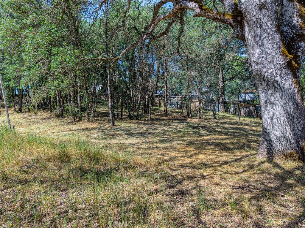16793 Big Bear Property Photo 20