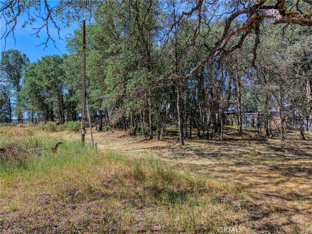 16793 Big Bear Property Photo 21