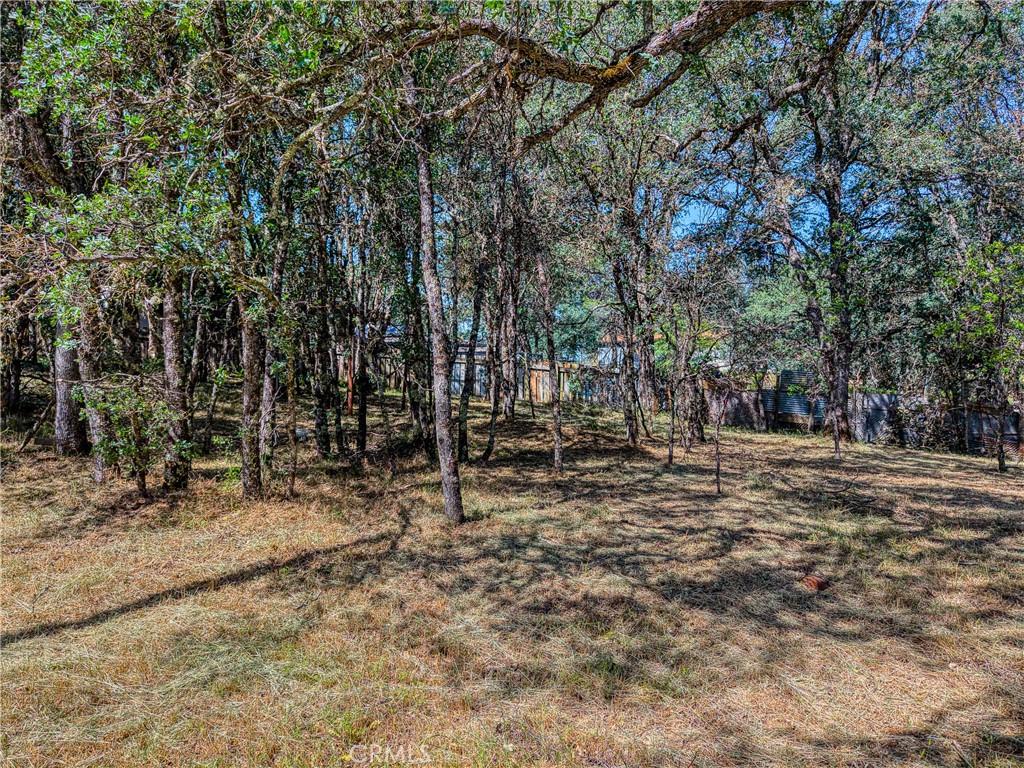 16793 Big Bear Property Photo 23