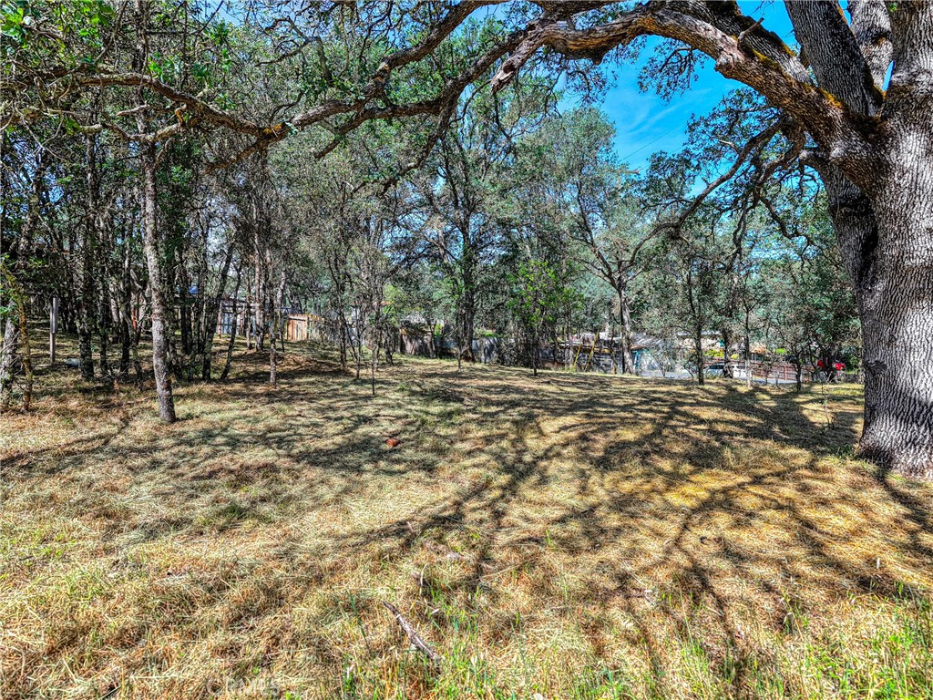 16793 Big Bear Property Photo 24