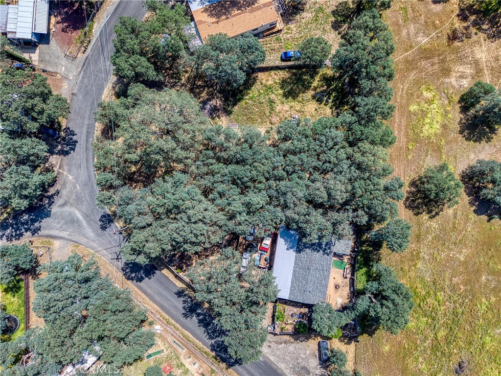 16793 Big Bear Property Photo 25
