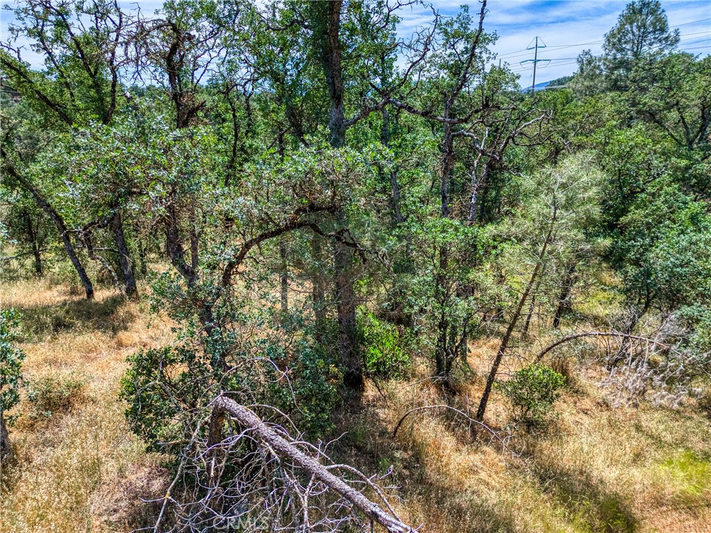 16267 30th Avenue Property Photo 19