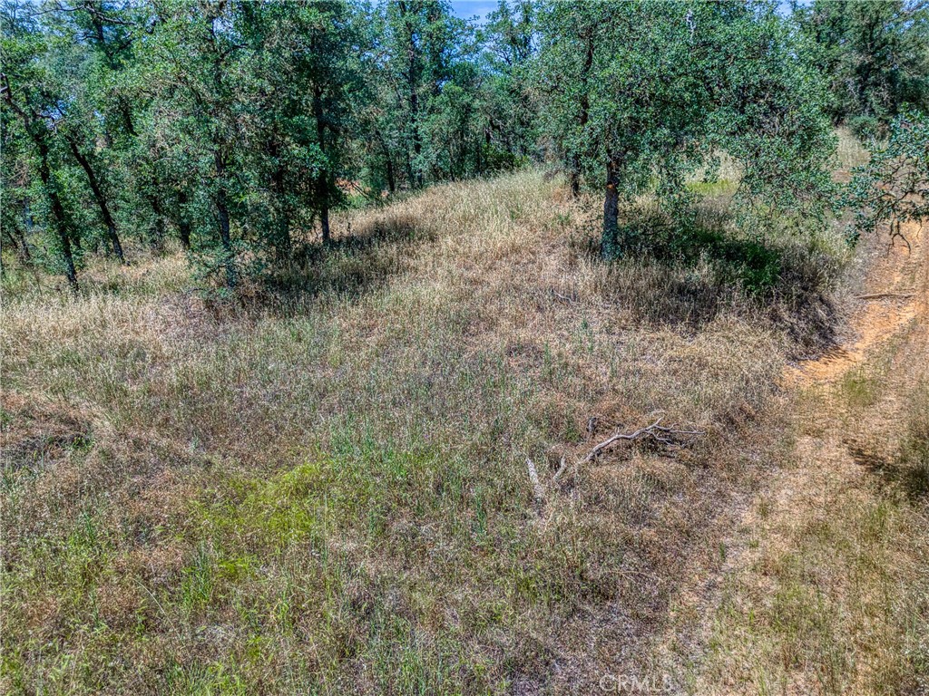 16267 30th Avenue Property Photo 22
