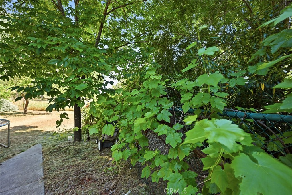 18670 Maple Leaf Court Property Photo 28