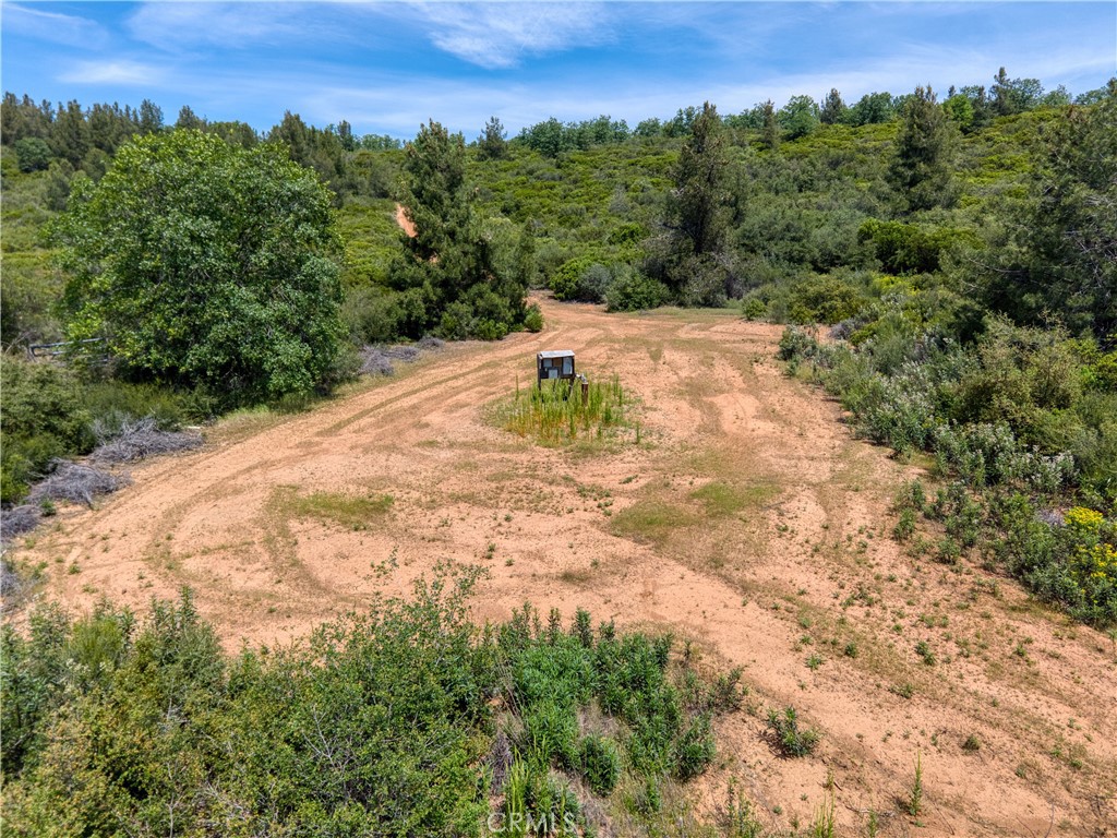 11619 Diener Drive Property Photo 31