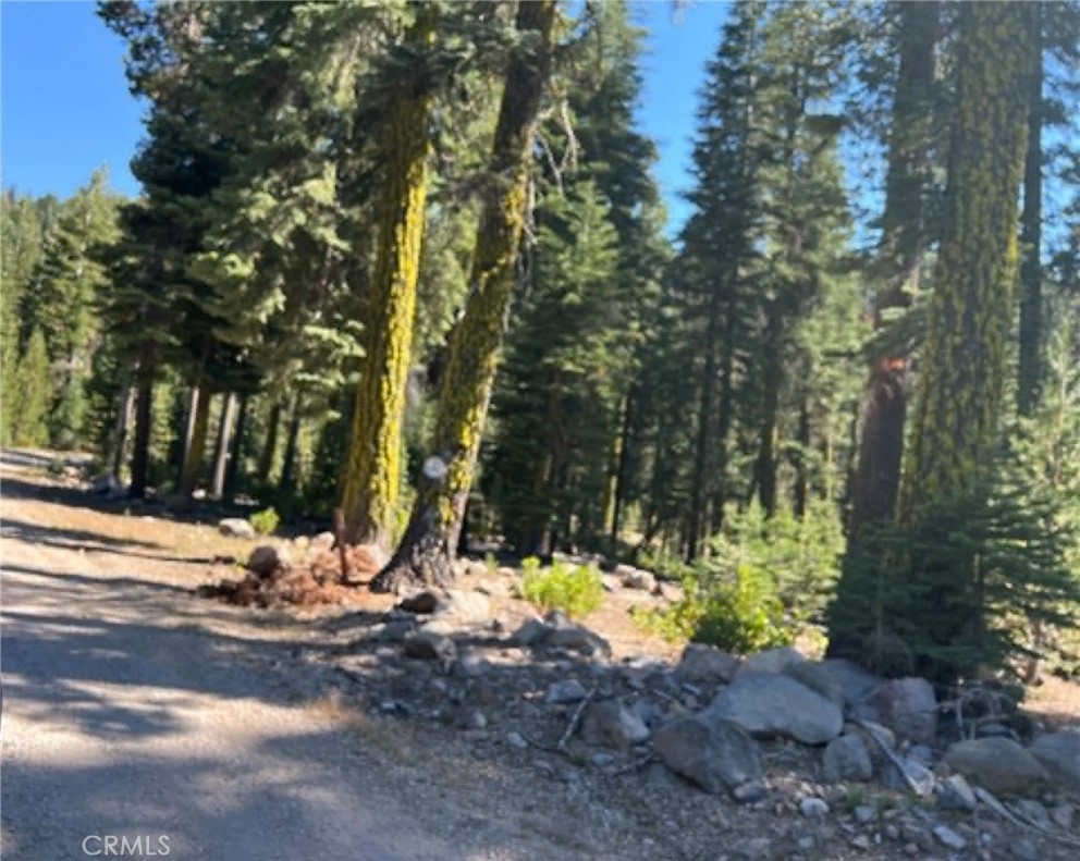0 Logging Road Property Photo 1