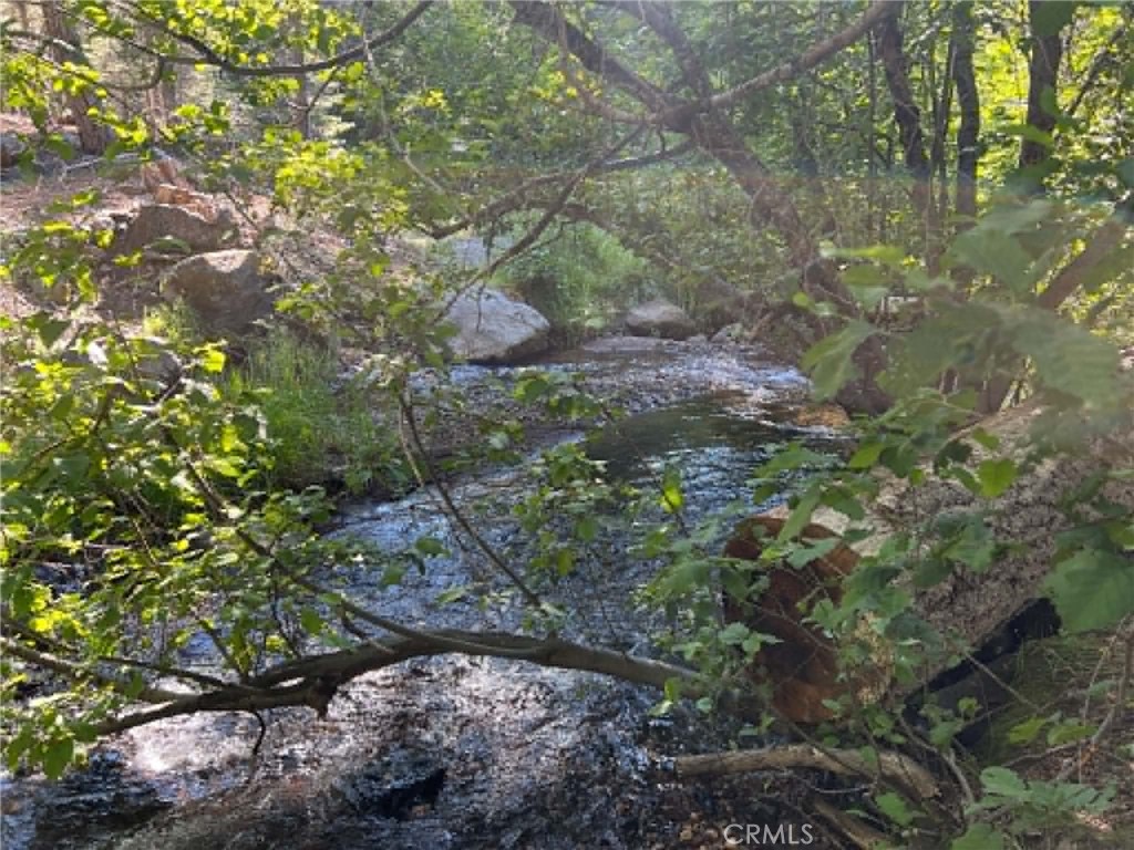 0 Logging Road Property Photo 2