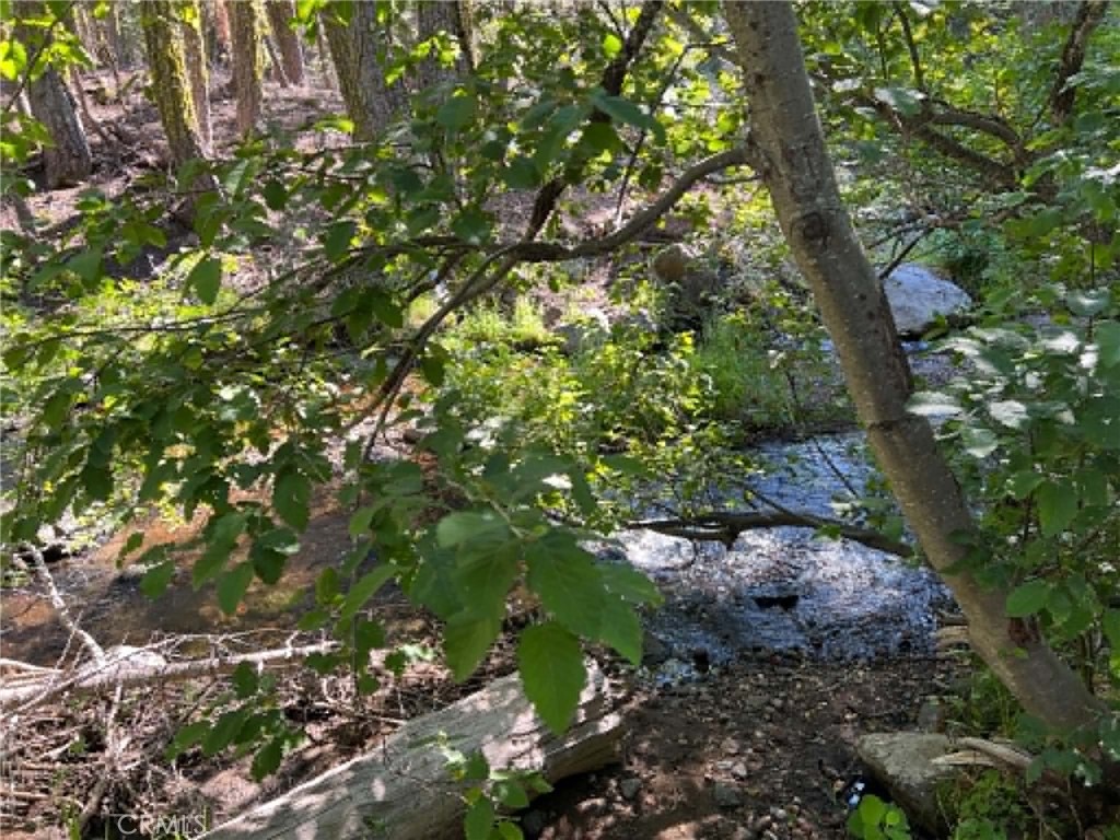 0 Logging Road Property Photo 3