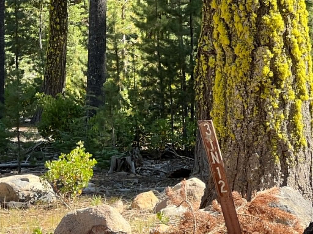 0 Logging Road Property Photo 4