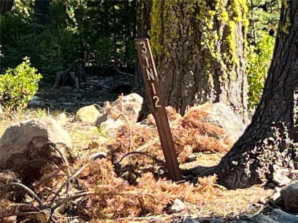 0 Logging Road Property Photo 6