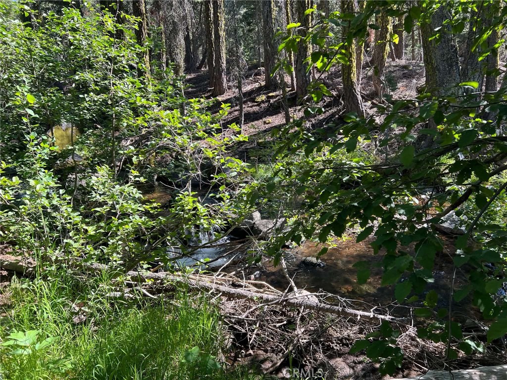 0 Logging Road Property Photo 9