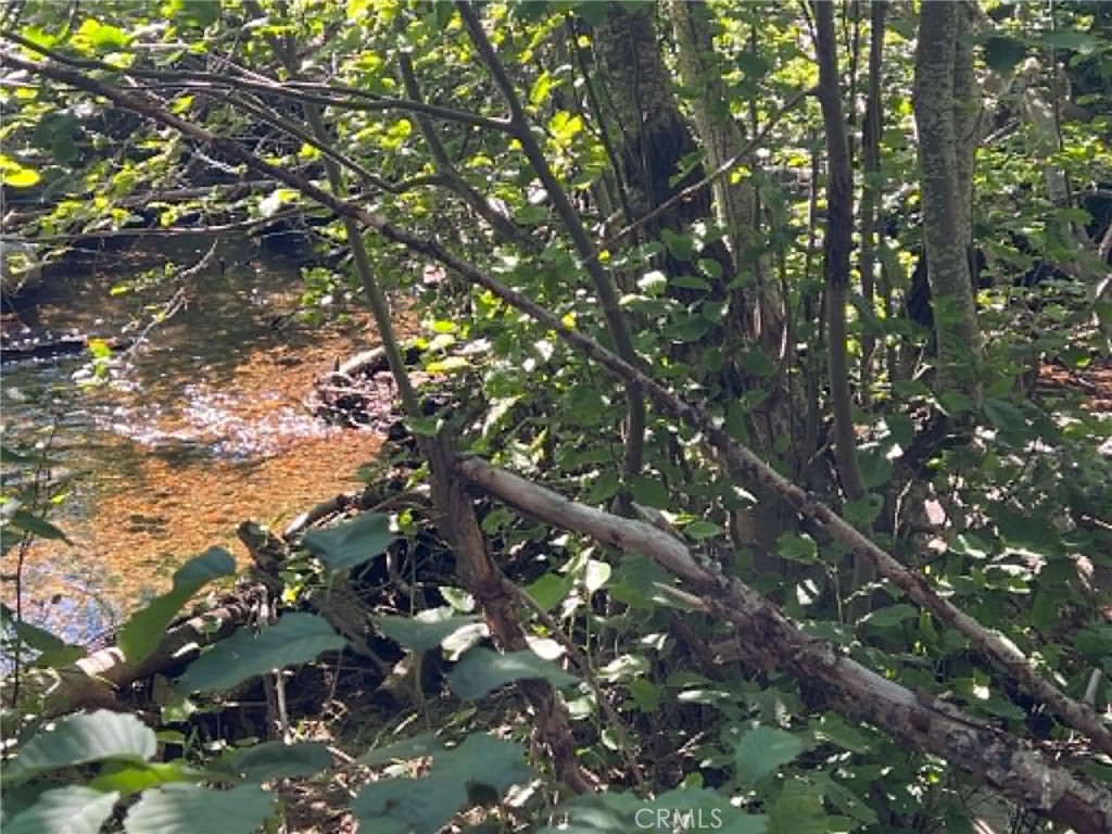 0 Logging Road Property Photo 12