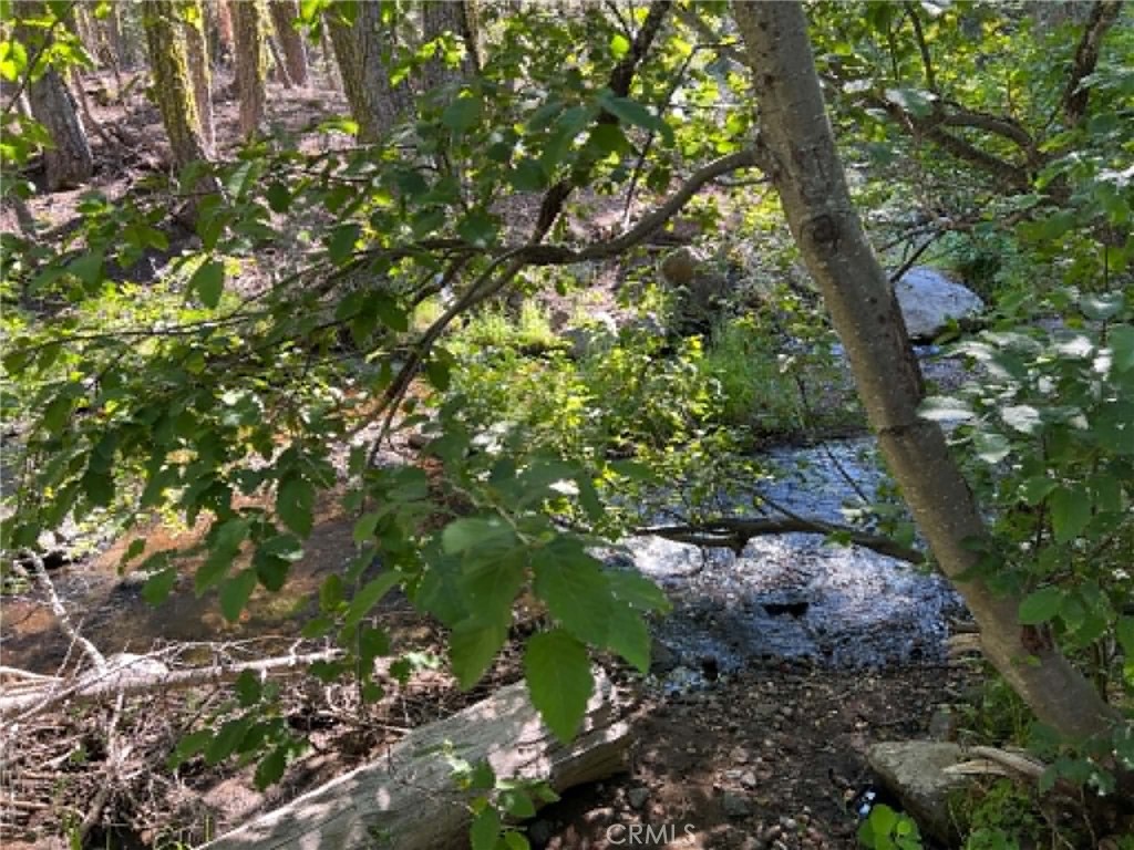 0 Logging Road Property Photo 13