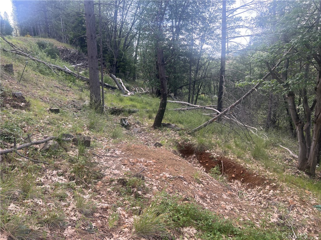 9670 Venturi Property Photo 3