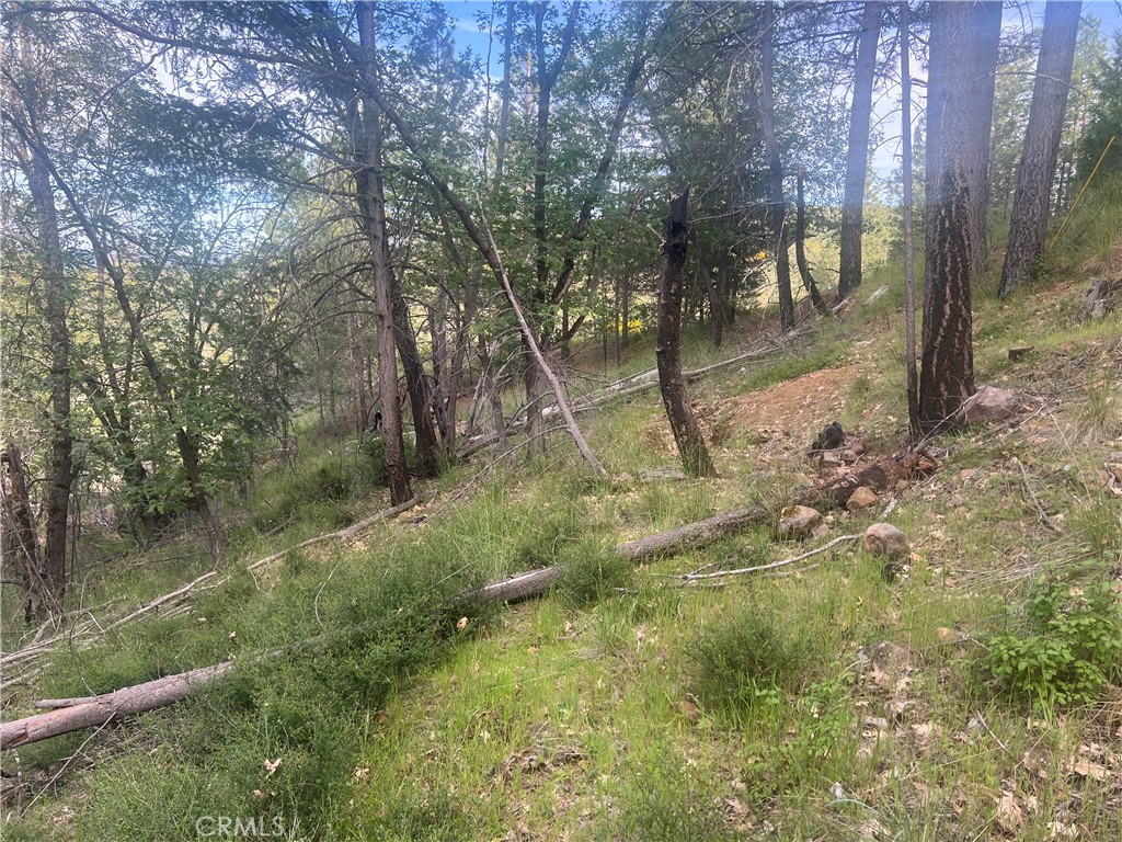 9670 Venturi Property Photo 4