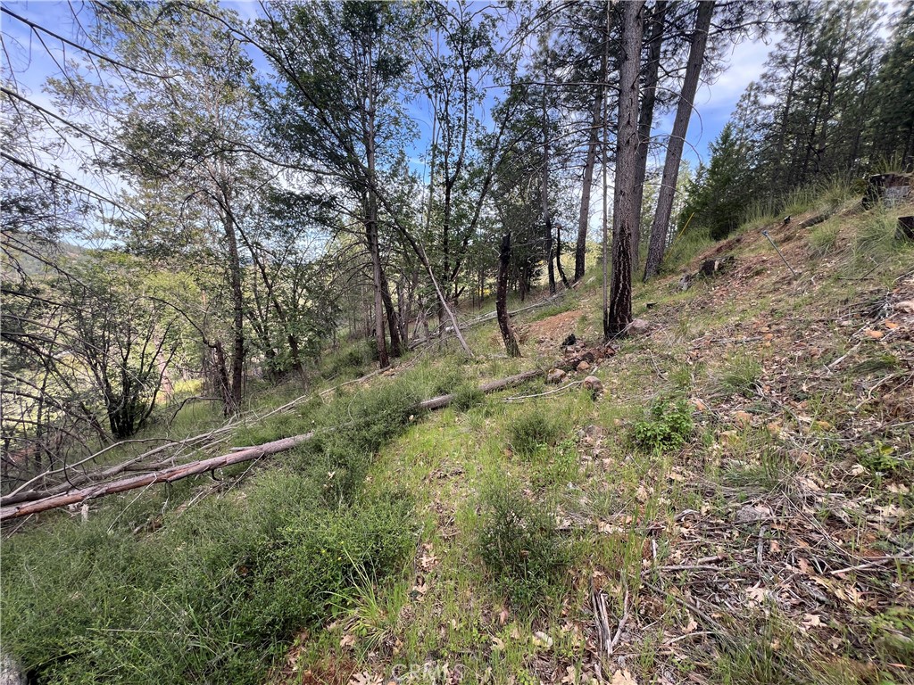 9670 Venturi Property Photo 5