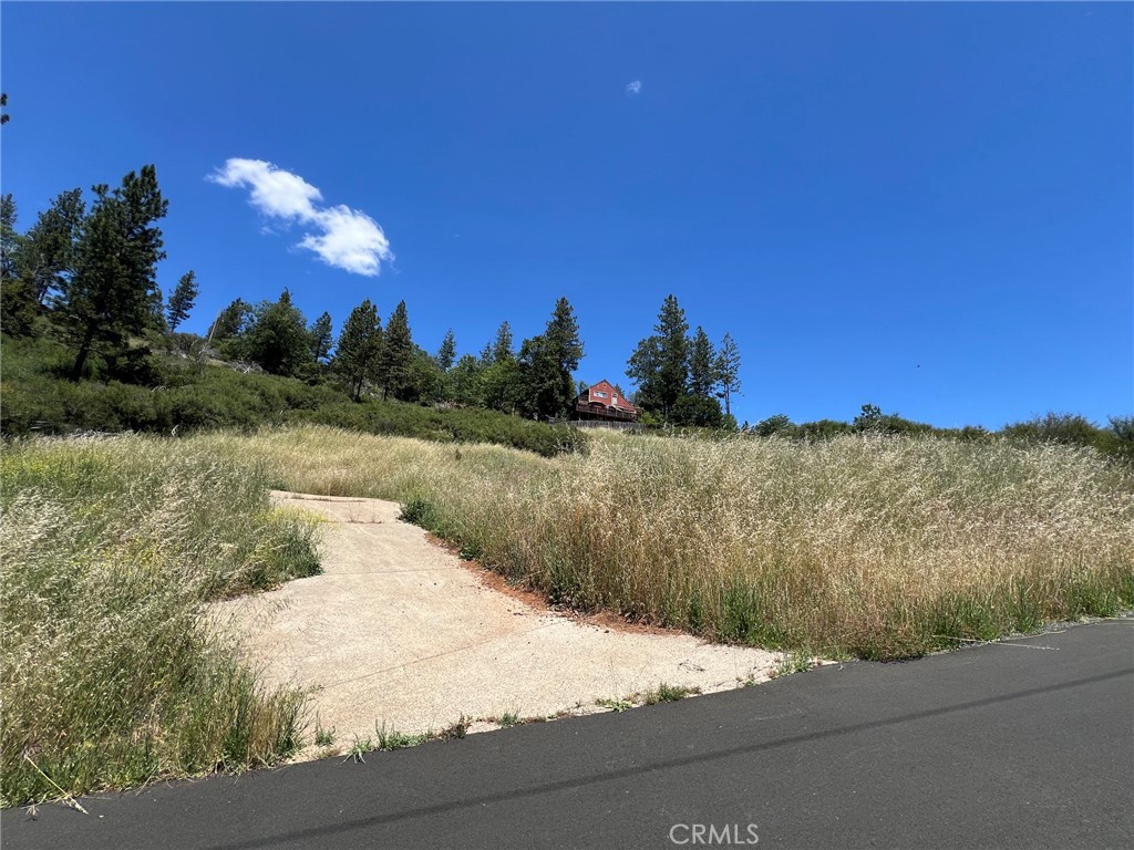 9284 Bleuss Way Property Photo 1