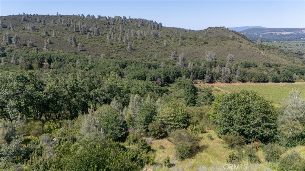 13520 Point Lakeview Property Photo 1