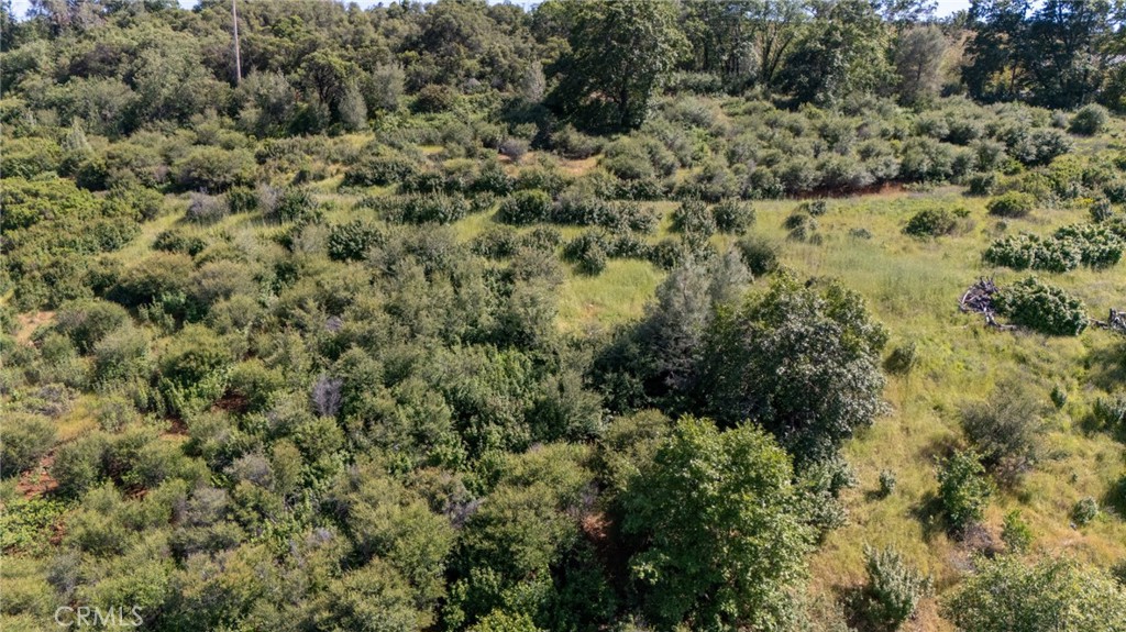 13520 Point Lakeview Property Photo 2