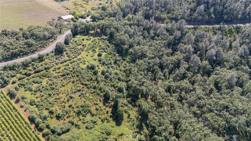 13520 Point Lakeview Property Photo 3