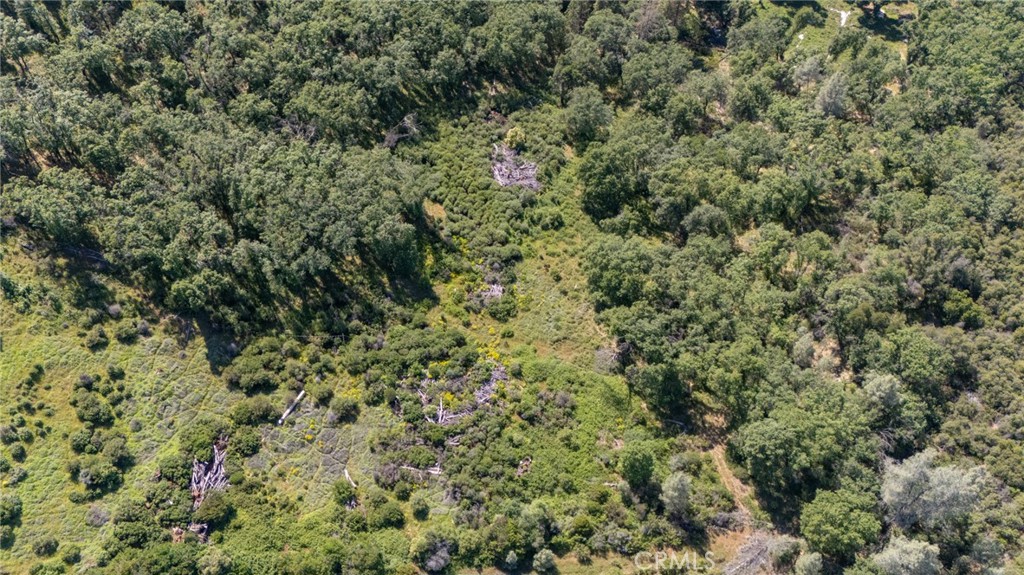 13520 Point Lakeview Property Photo 4