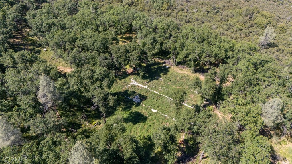 13520 Point Lakeview Property Photo 5