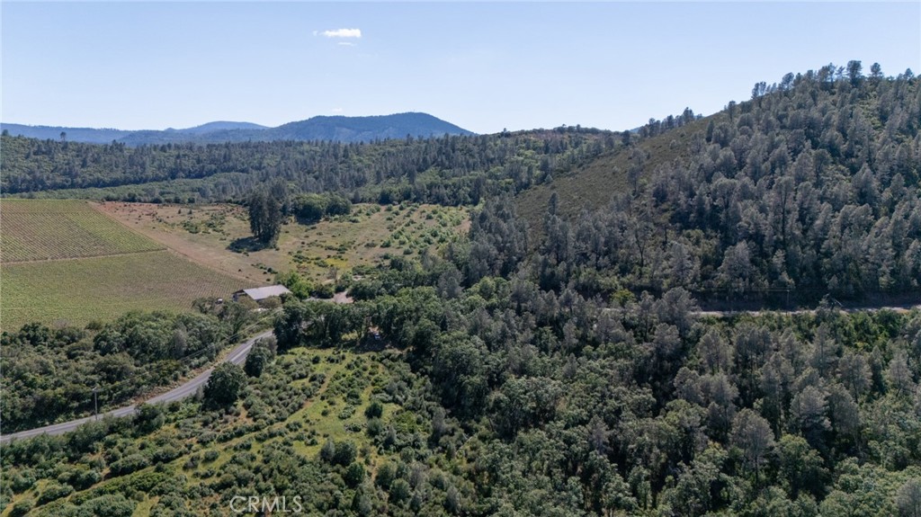 13520 Point Lakeview Property Photo 6