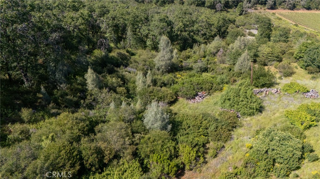 13520 Point Lakeview Property Photo 7