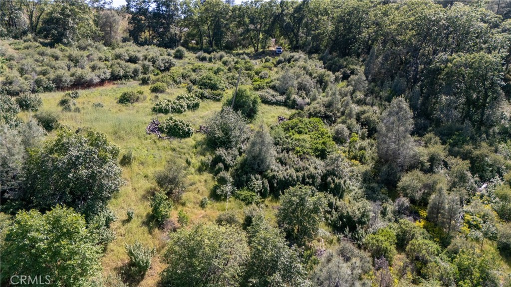 13520 Point Lakeview Property Photo 8