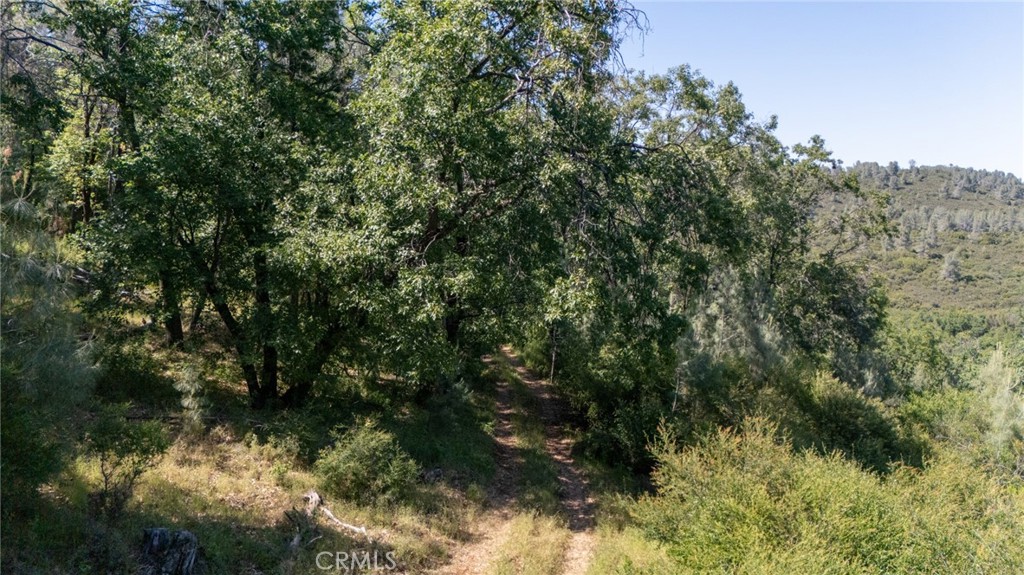 13520 Point Lakeview Property Photo 9