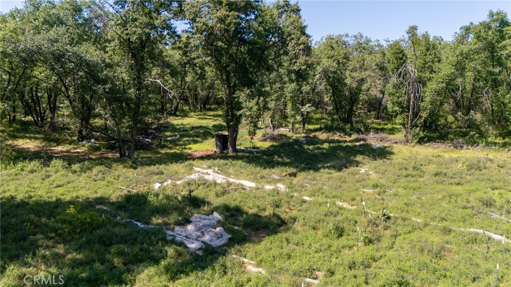13520 Point Lakeview Property Photo 11
